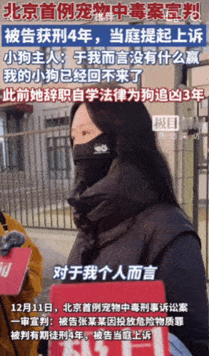北京宠物狗投毒案后续。投毒男子被判刑4年。至此，这起发生在2022年的事件，经过