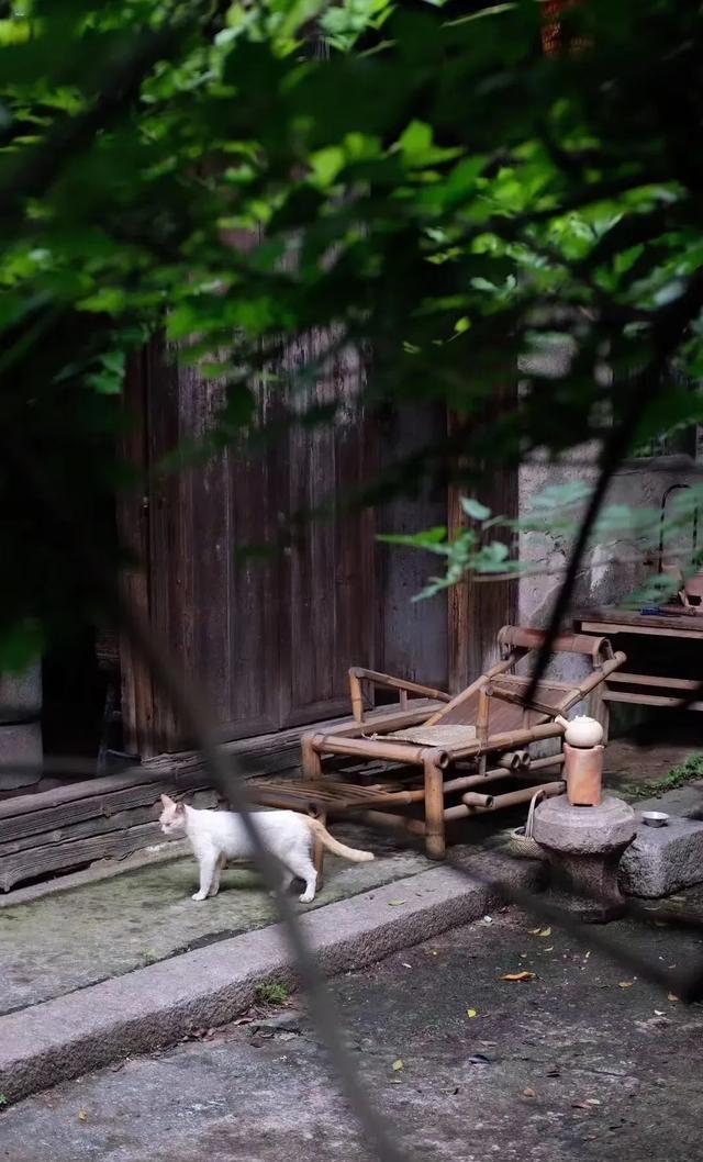 一段醍醐灌顶的话：“人活着要永远记住，宁可在自己家里喝清粥，也不要出去吃那顿看别