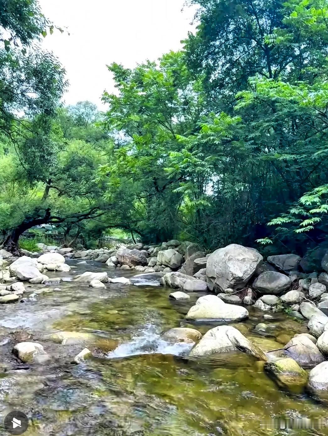 每年夏天，我妈都有一个雷打不动的习惯。一入伏，她就约上几个老姐妹，去蓝田汤峪避