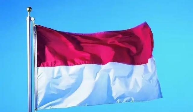 印尼高铁巨亏，一堆人喊“早知如此，用日本新干线就好了”。结果日本媒体曾直接泼冷水
