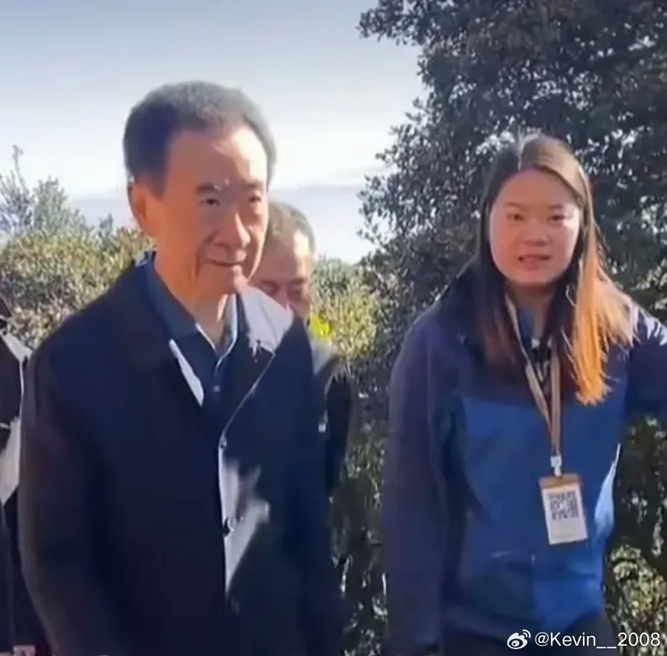 实在想不明白，万达的6000亿到底是怎么欠下的？王健林巅峰时拥有200多个万达广