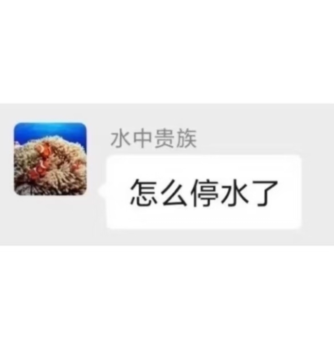 我不行了小区群聊的热梗