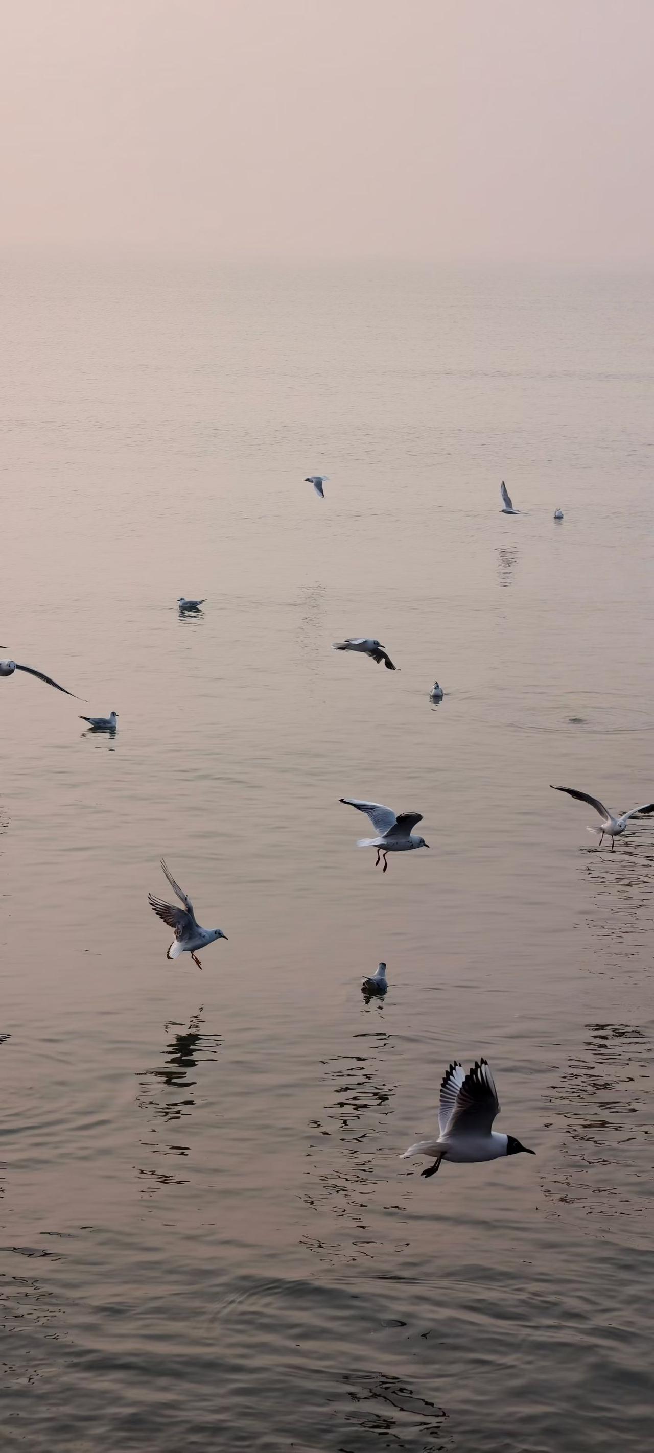 戒烟总失败？90%烟民栽在这1个坑戒烟总失败？90%烟民栽在这1个坑“