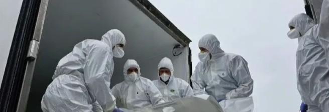 1000具对35具！就在2月26号，俄乌双方又进行了一次阵亡军人的遗体交换。俄方