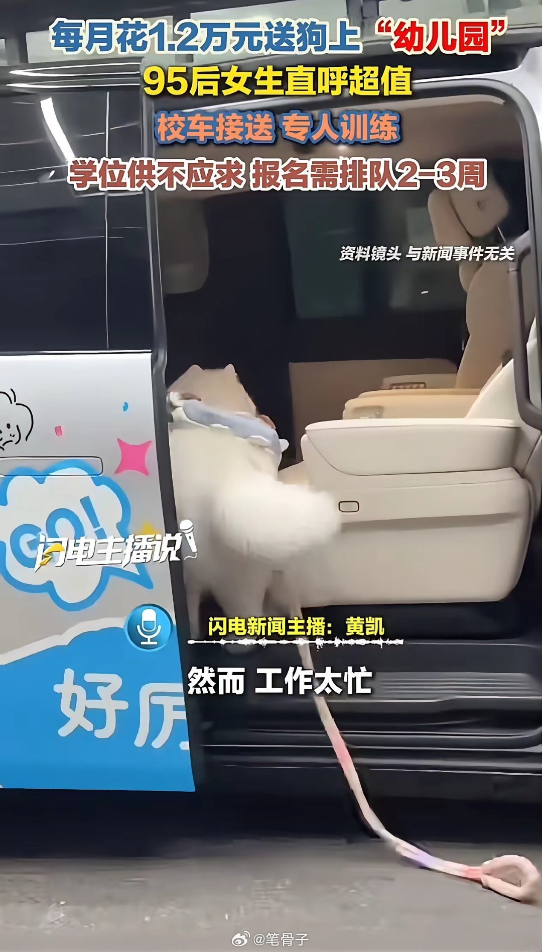 人活得不如狗？上海95后姑娘月砸1万2送狗上“贵族幼儿园”，网友炸锅：这世界终于