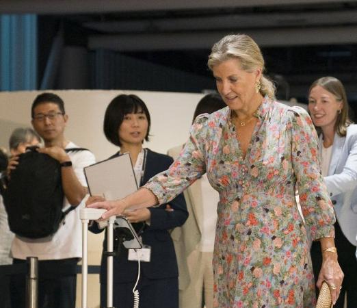 爱丁堡公爵夫妇访问日本，英国王室影响力降低，难以再现当年戴安娜王妃引起的轰动。