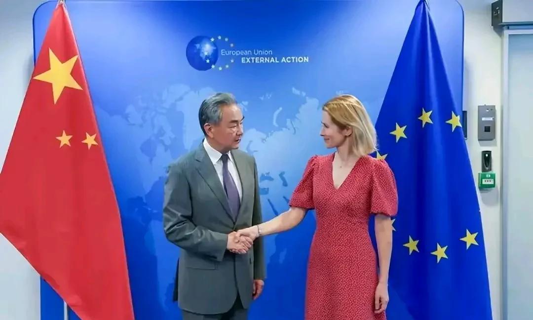 商务部出手了！靴子终于落地，欧盟失算了！中国商务部官方发文，已经完成对产自欧盟