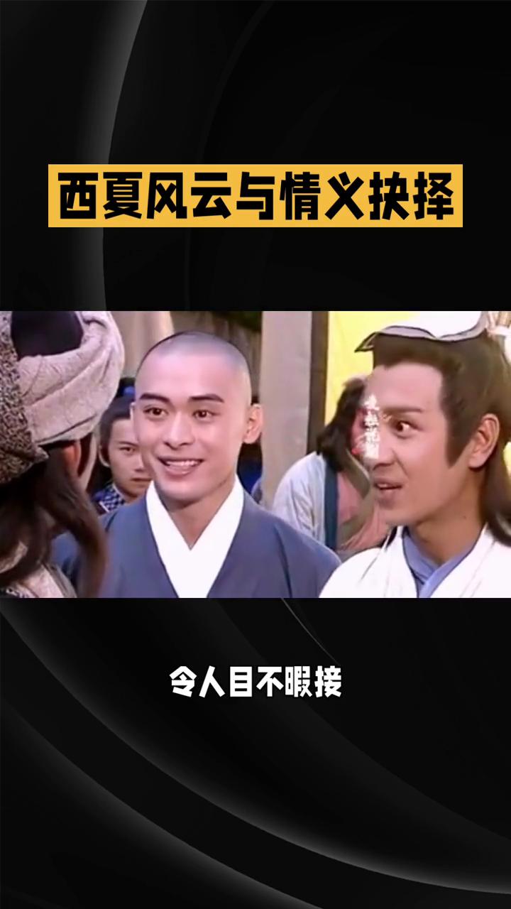 82版《天龙八部》第四十八集：西夏风云与情义抉择。在82版《天龙八部》第四十八