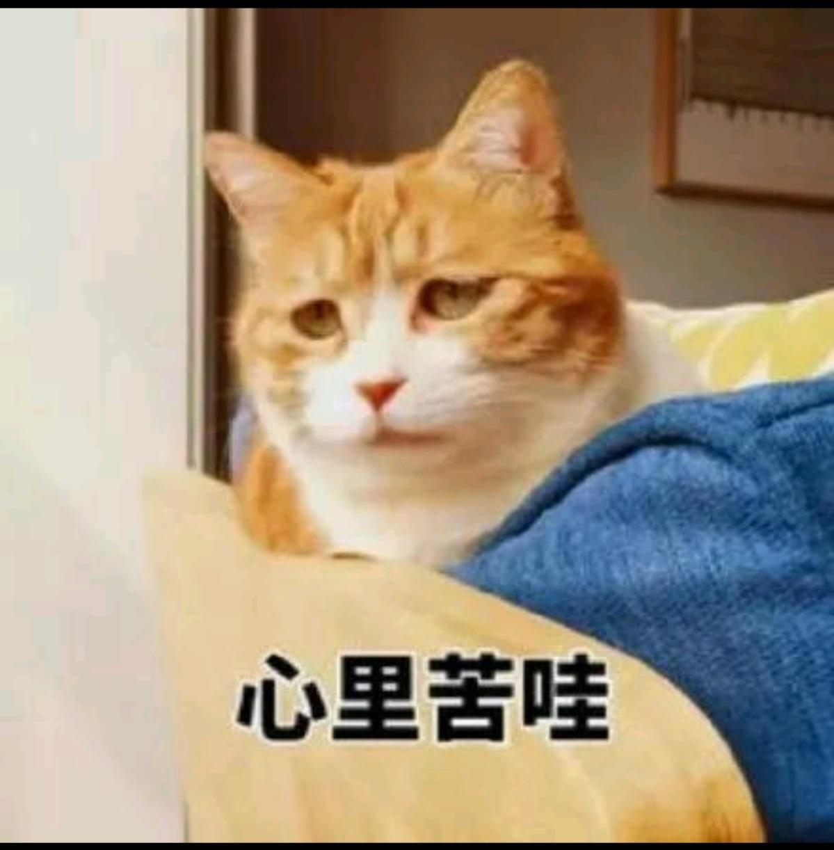 很讨厌有着三四十年房龄的老房子再装修！国家应该立法，禁止三十年以上房龄的房子再装