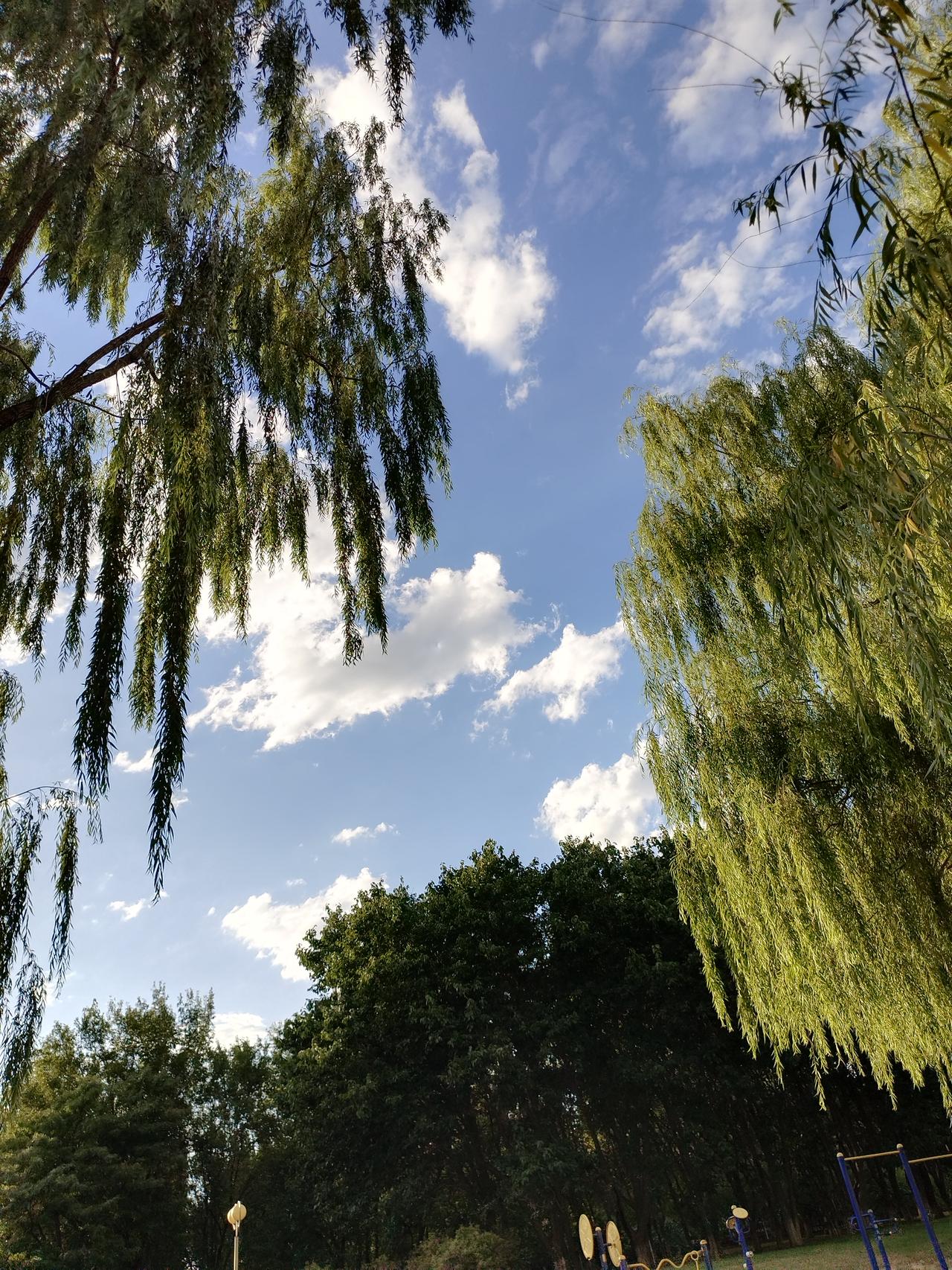裁员入职月余的学生成导火索，引爆了星宇众多累积的矛盾。发生这一切的原因是什么？