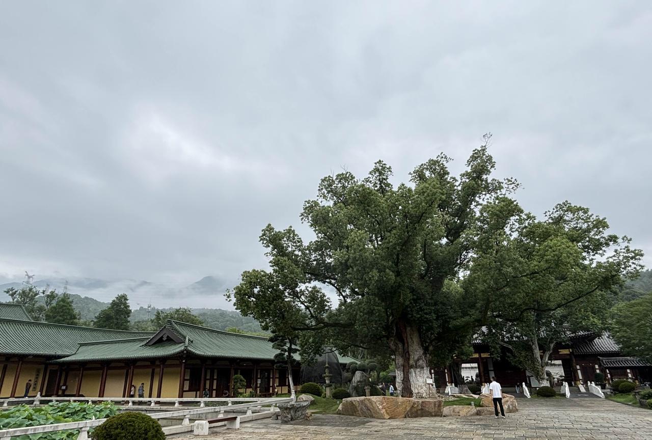 刚刚看了一条资讯，确实让人大吃一惊，2024年武汉在岗人员社平工资达到了9410