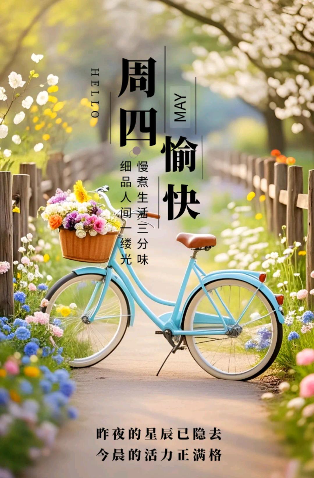 🌞周四早安！阳光会照亮每一个愿意抬头的人，生活也会善待每一个认真努力的人。愿你