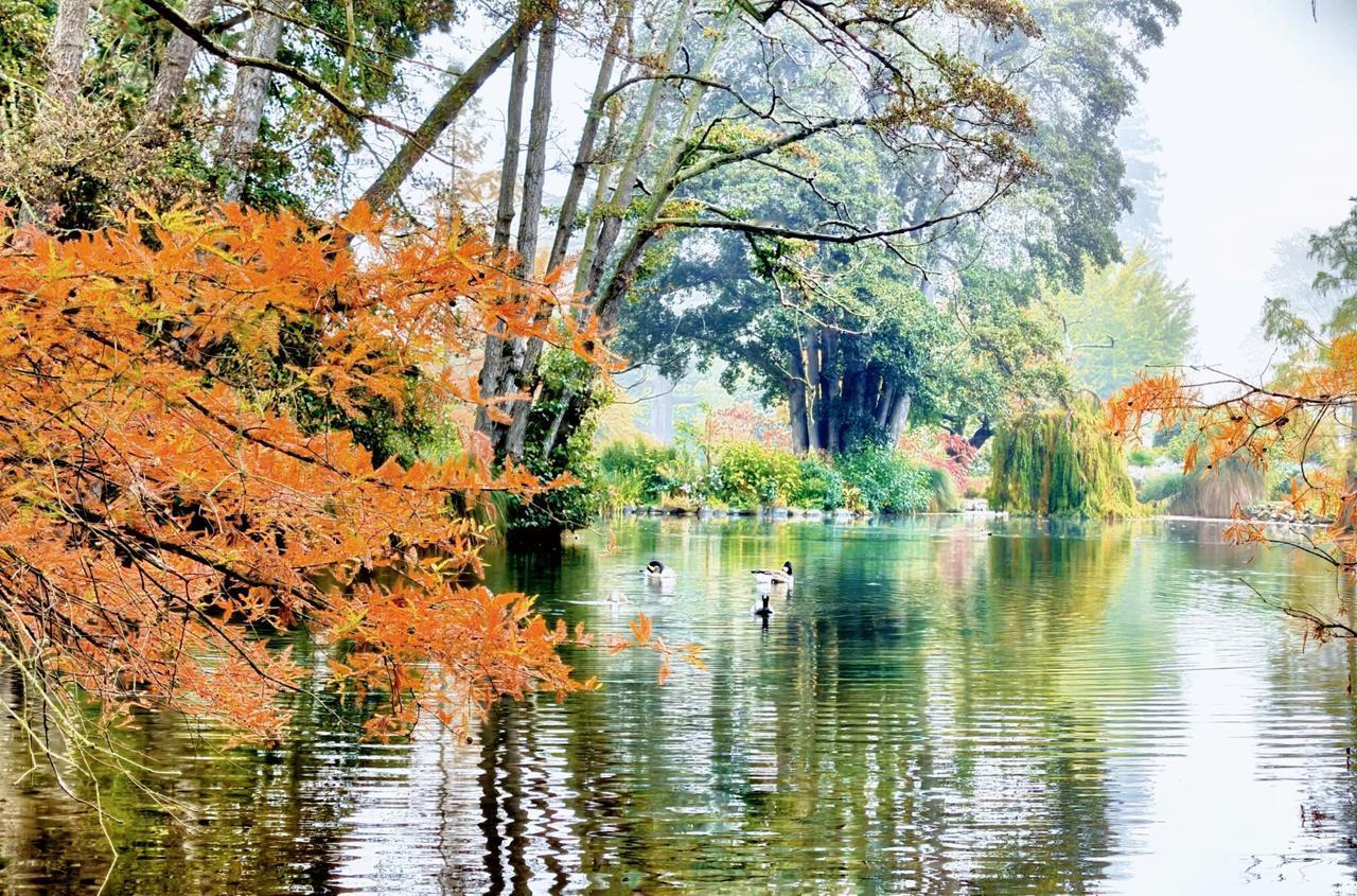 新西兰一基督城（世界最佳花园城市）一海格理公园……