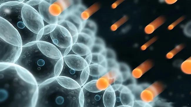 自由基：衰老的元凶还是生命的帮手？近日，发表在LiveScience上的一篇论文