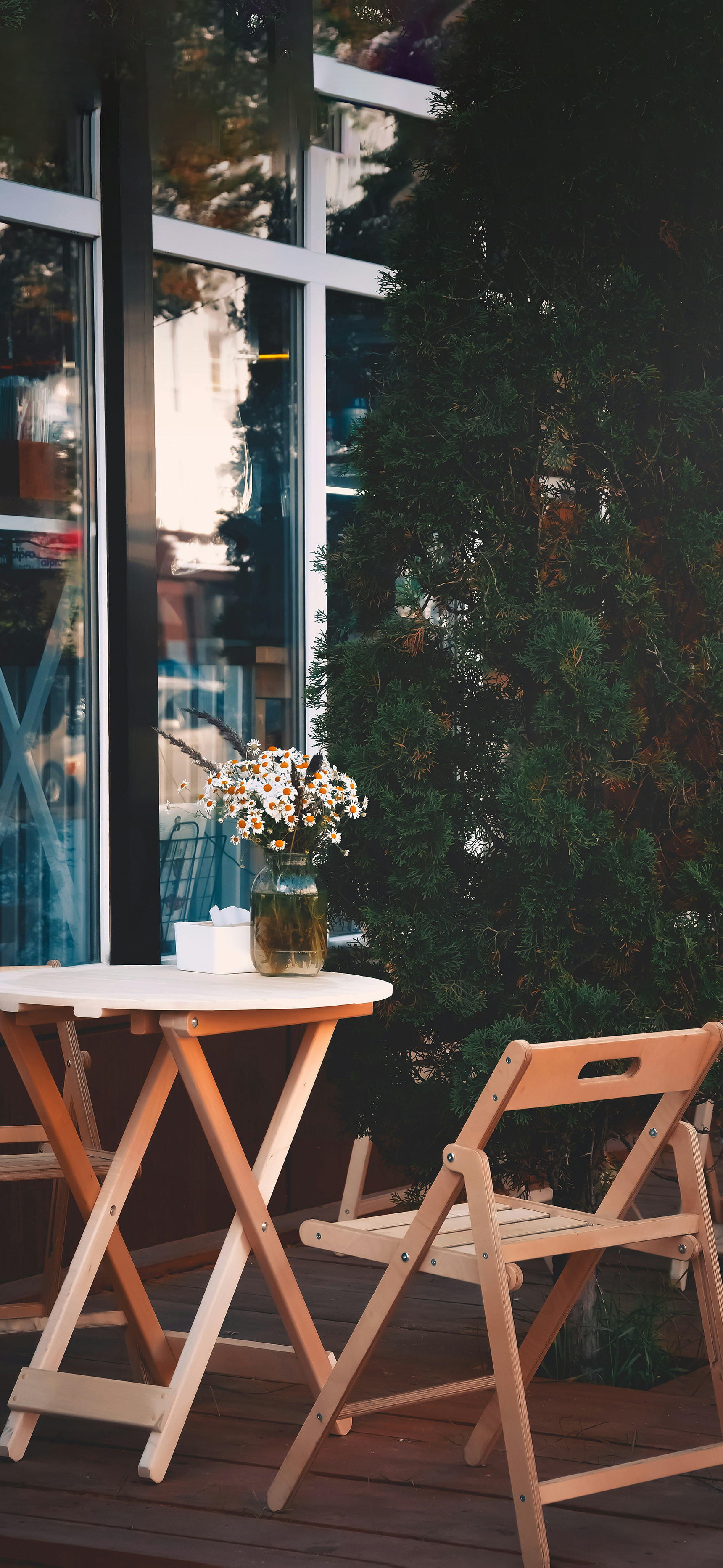 莱分享今日iPhone壁纸分享