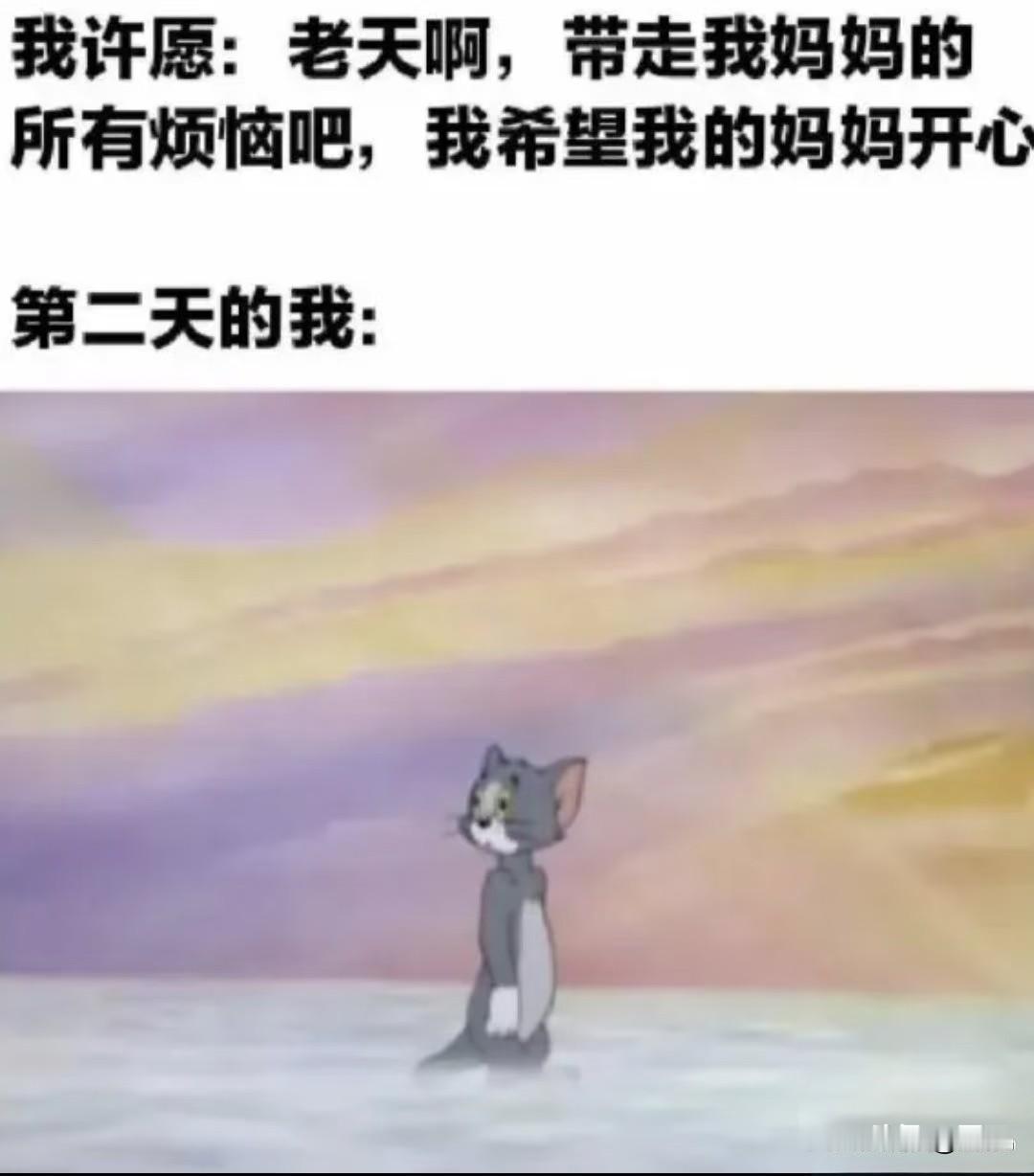 总希望父母开心点，谁知道最不开心的是我们自己猫和老鼠雪碧热水学驾照