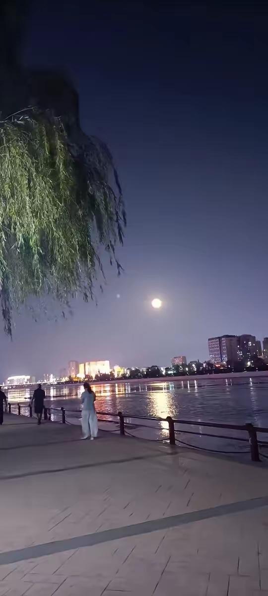 人为什么一定要努力赚钱？​​大海不缺一滴水，森林不缺一棵树，单位不缺一个人；但