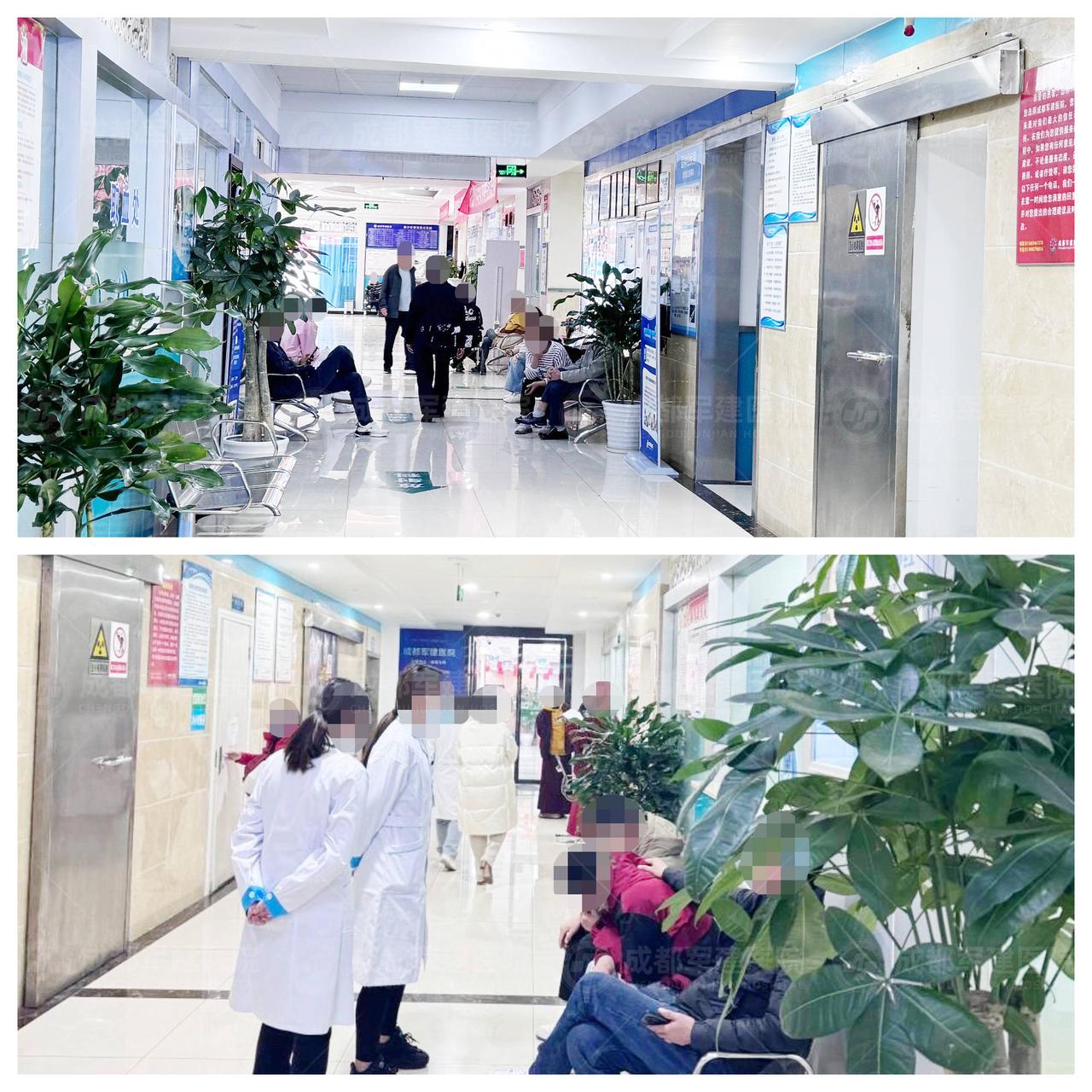 西医为什么那么反感中医？她该何去何从？这几天，我的一个亲戚得了肿瘤，已经转移