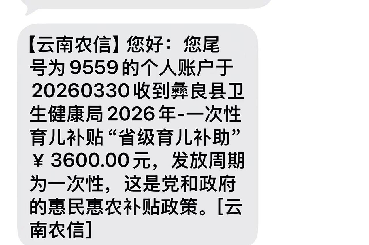 去年的补助有二胎补助，2000，然后育儿补贴3600，然后一次性生育补贴800也