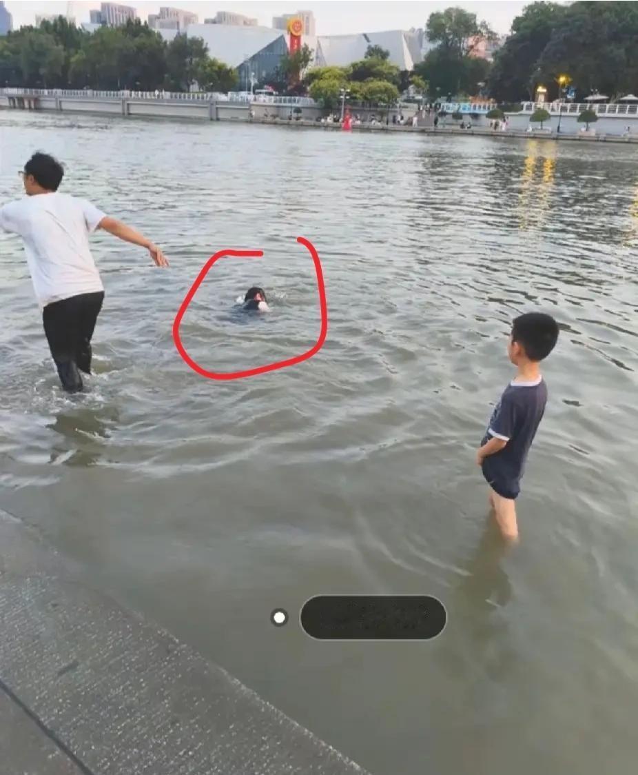 天津之眼一对母子溺亡！亲水平台发生这样的悲剧，让人痛心。可是，这又怨得谁？
