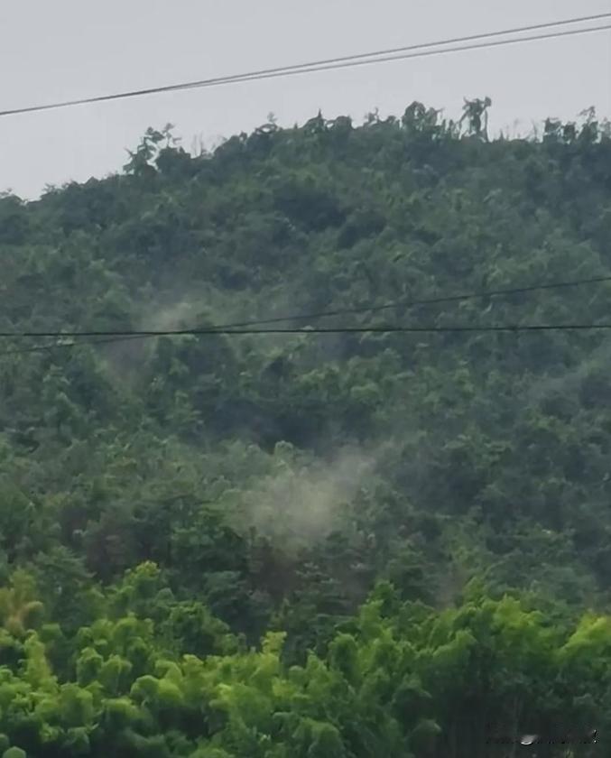 堪舆家常说“藏风聚气”，这“气”指的是什么？指的就是“生气”，什么是“生气”？