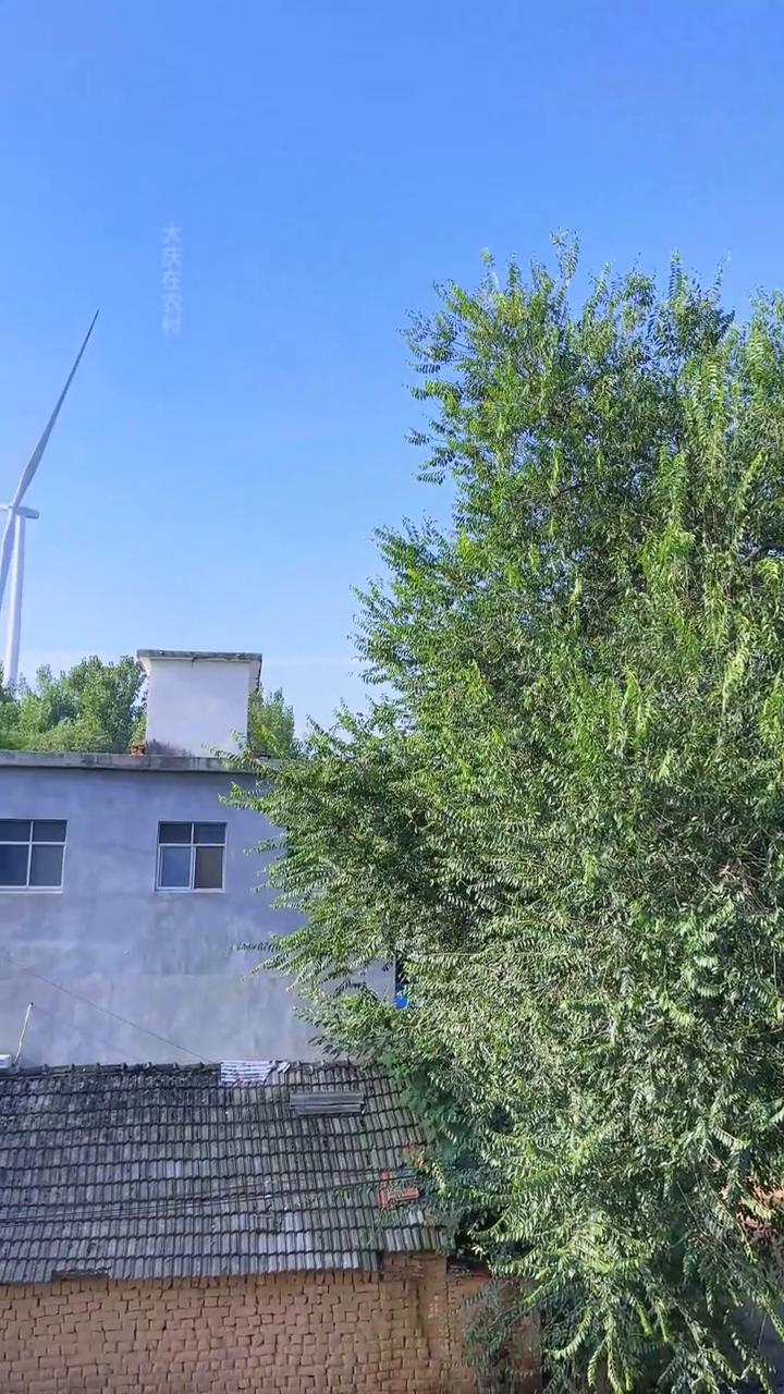 这两天真热，早上起来都是大太阳，不过这天饭店开了客，下去发点面，一会来蒸点馒头再