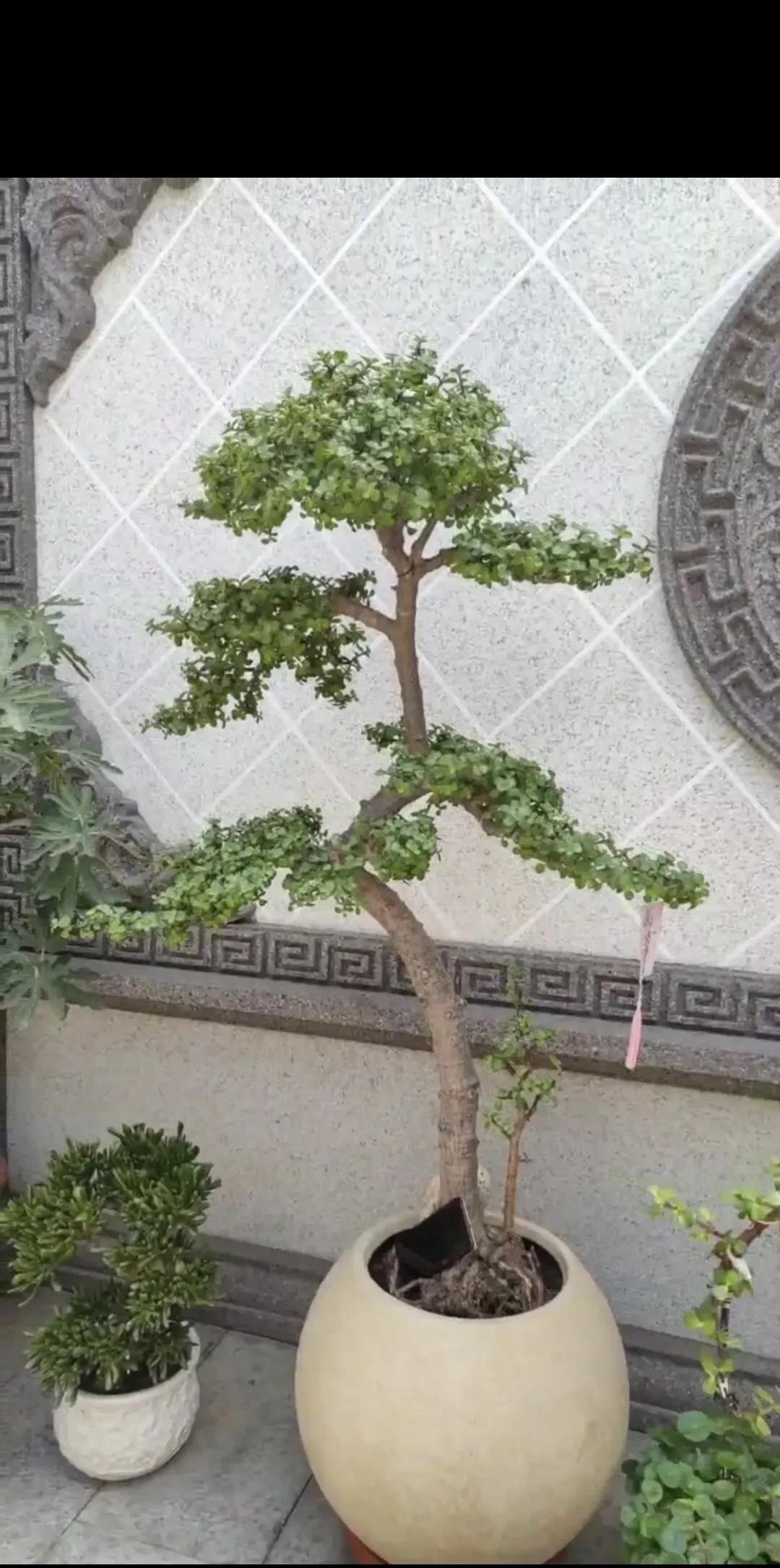 守得住每一段旅途，才守得到一鸣惊人，遵守时间的人，品德高尚，踏实可靠，值得信赖，