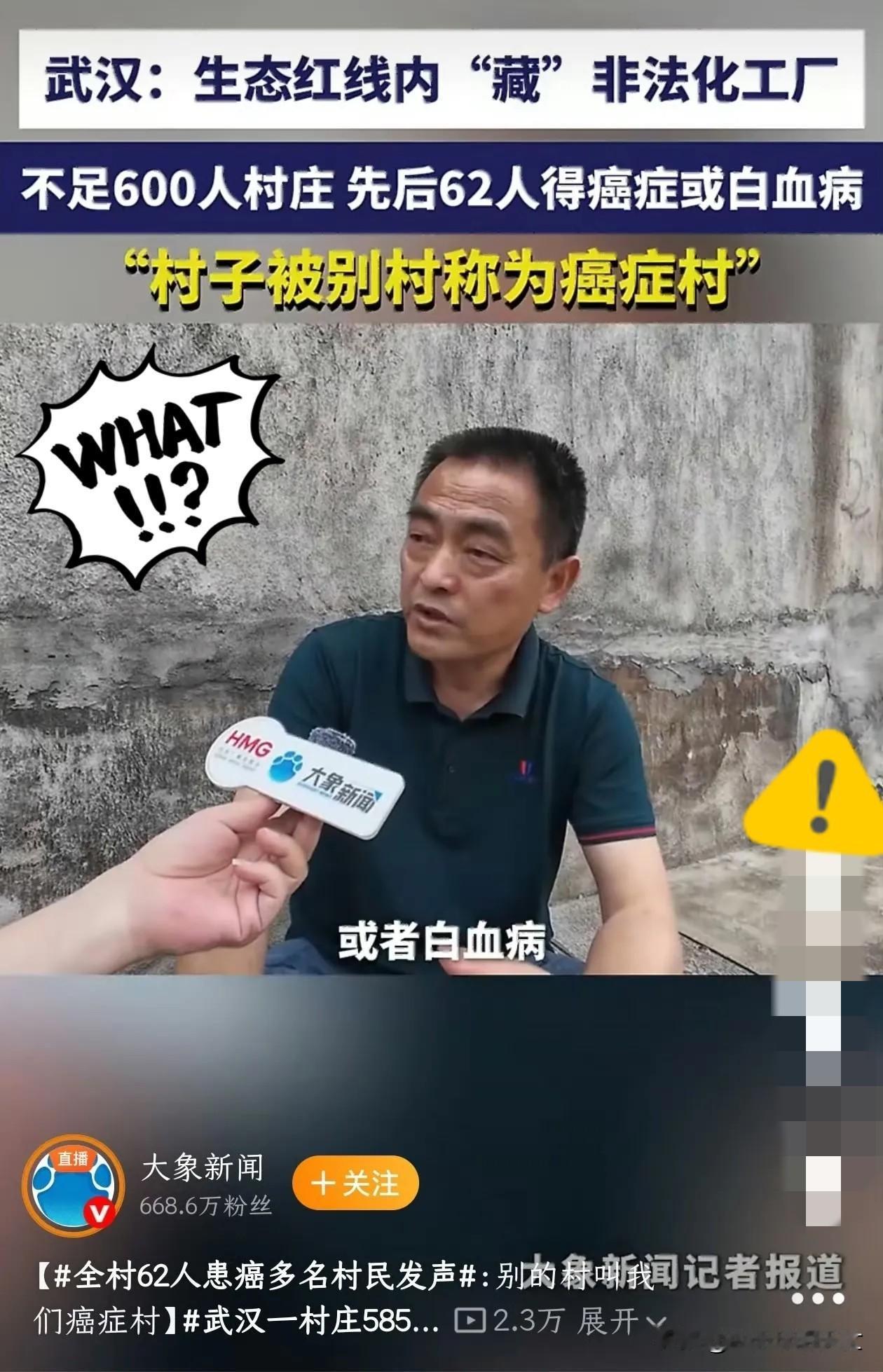 真的越看越揪心！武汉这个小村子，简直不敢相信是真的！全村才585口人，竟然