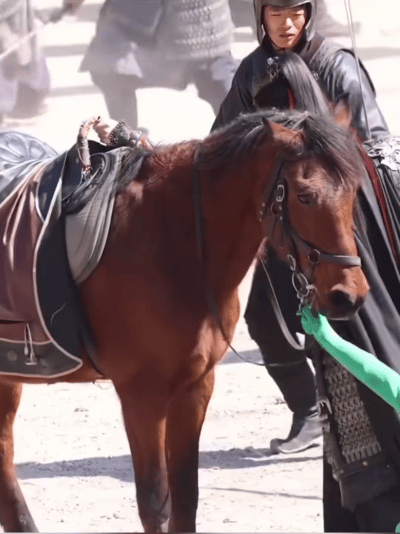 多少有些搞笑了，因为张凌赫引发的“粉底液将军”审判热潮，内娱各家小生粉丝唯恐风评