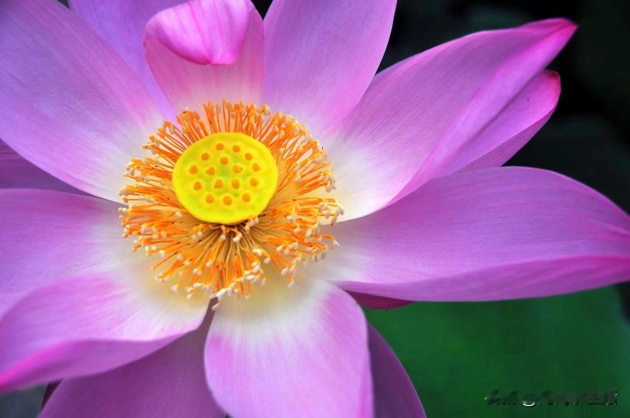 “父母没养老金的独生女，千万别娶”：这不是势利，是过来人吃过的亏！常听人说“