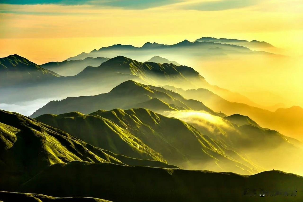 生活中，容易被欺负，大概率是因为这十个性格因素，记得要改！1、太容易共情，