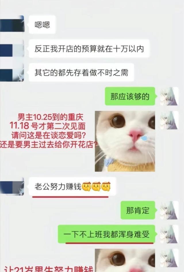 重庆21岁跳江男孩胖猫跟女朋友的聊天记录，只能说这女的很有头脑，也懂一点法。她知