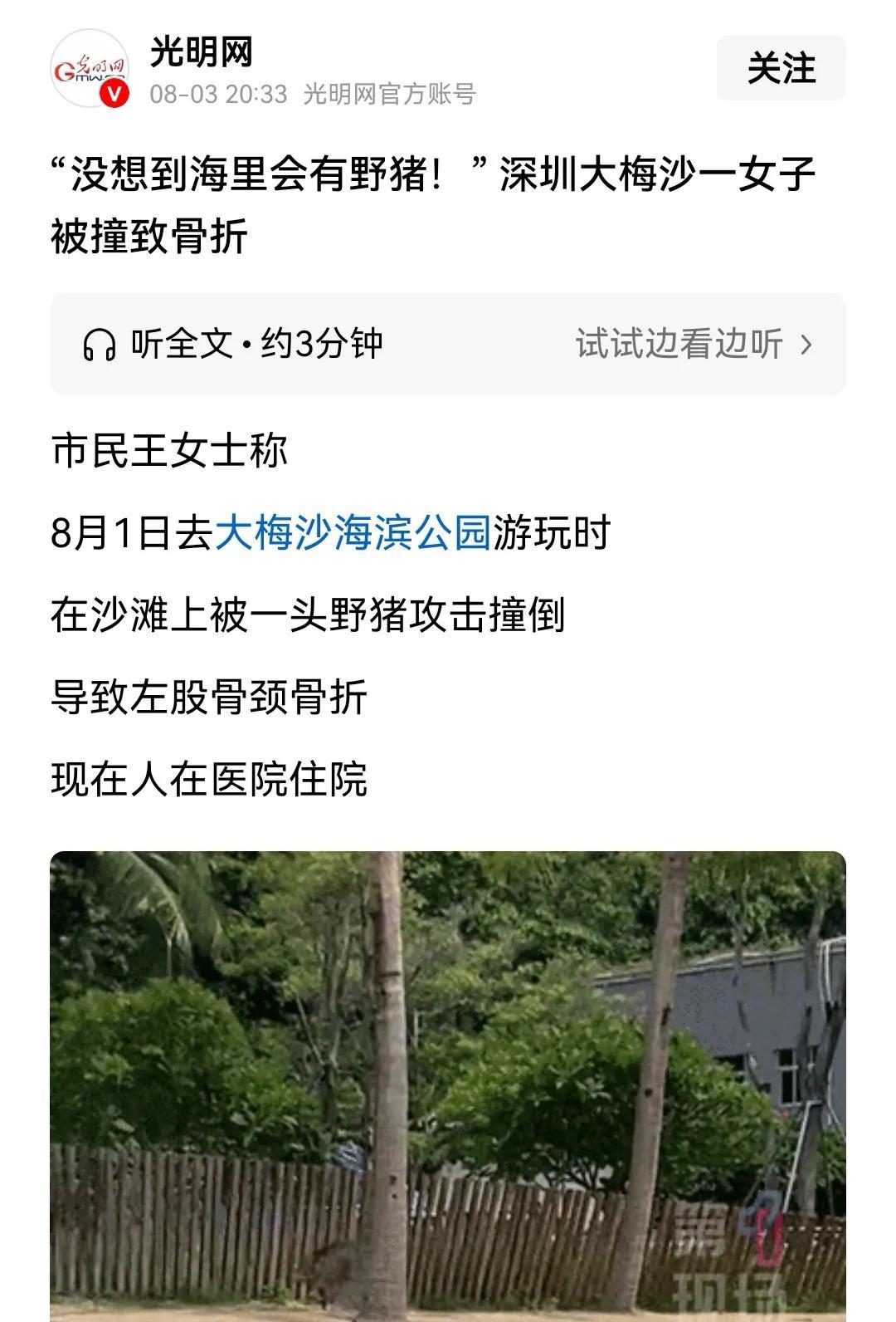 在深圳海滨公园游玩的女子被野猪撞骨折，应该找国家赔偿还是找砖家赔偿？我觉得应该