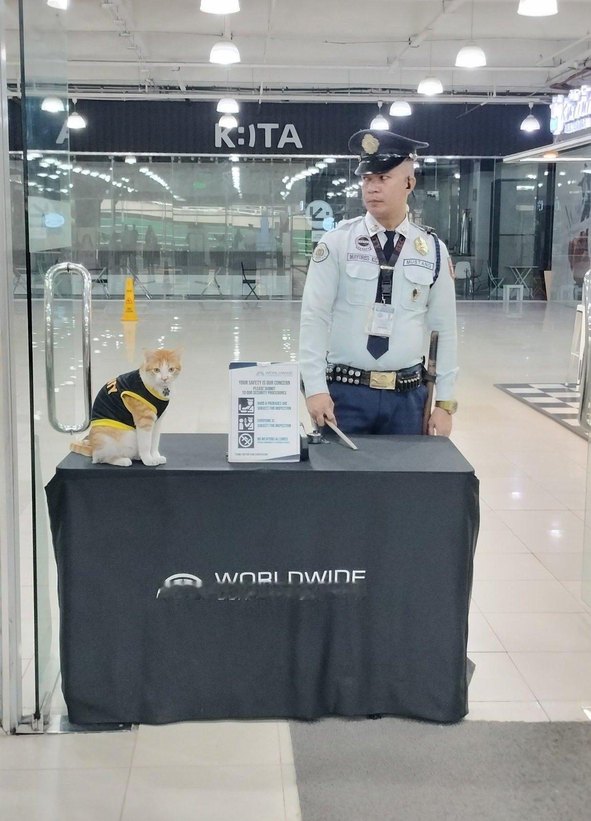 猫猫警官执勤中​​​