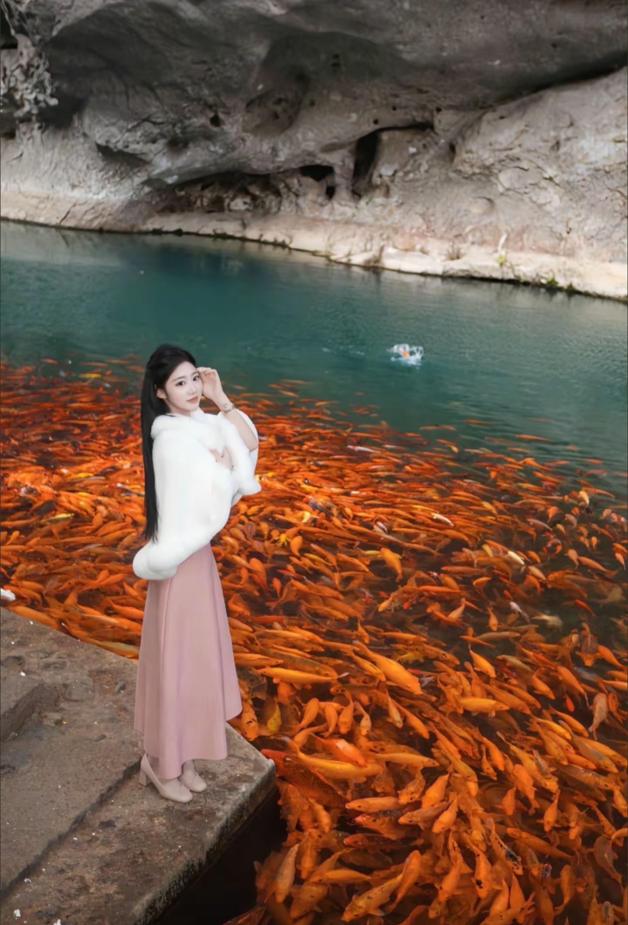 一大群锦鲤，围着少女