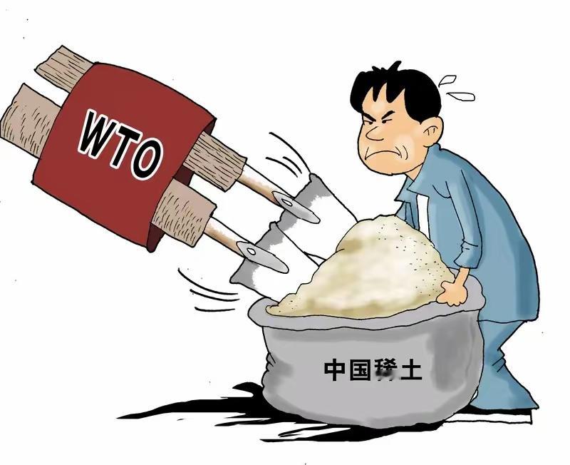 中国稀土（000831.SZ）2025中报核心看点1.三重逻辑共振：手握全球