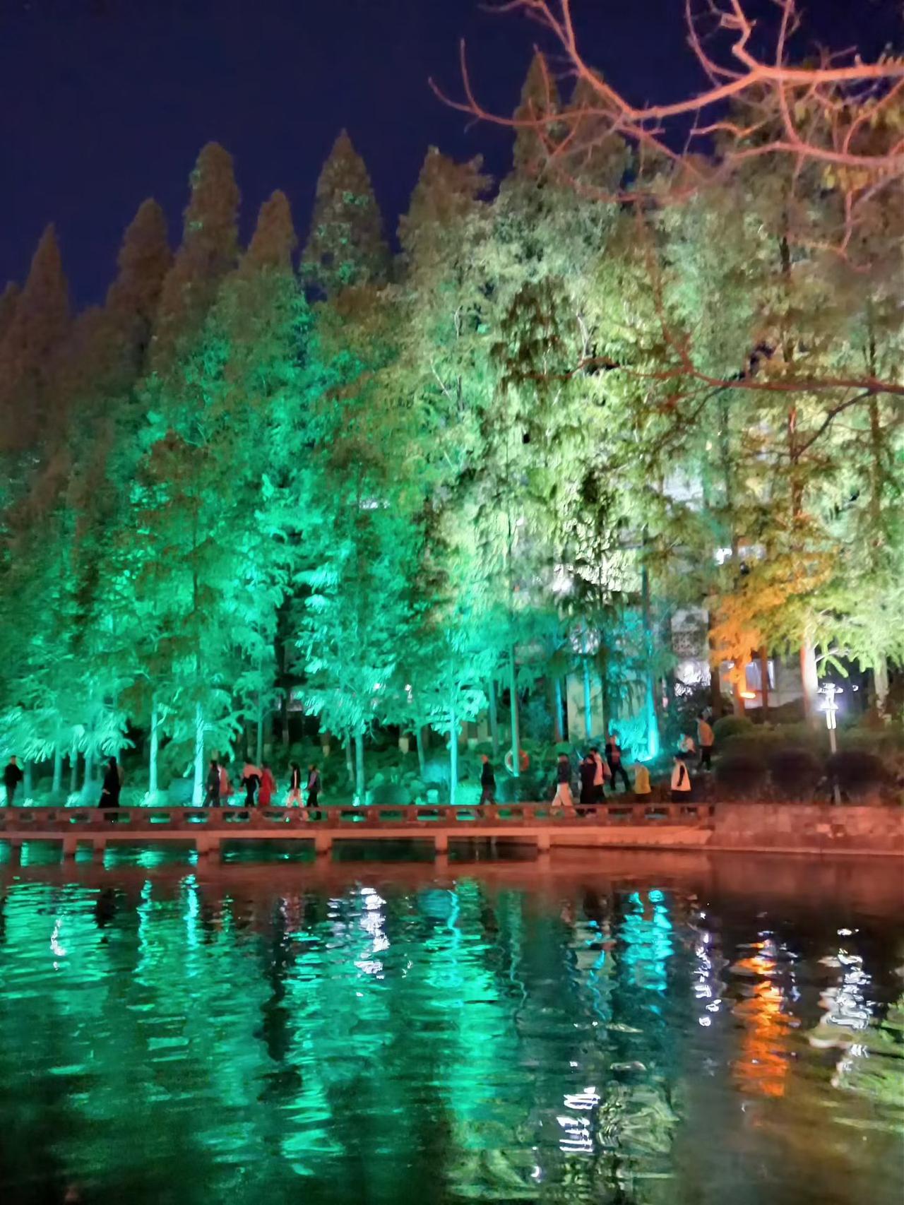 桂林日月双塔夜景，以其璀璨夺目的灯光与湖光山色，交融成梦幻般的景象而闻名遐迩。