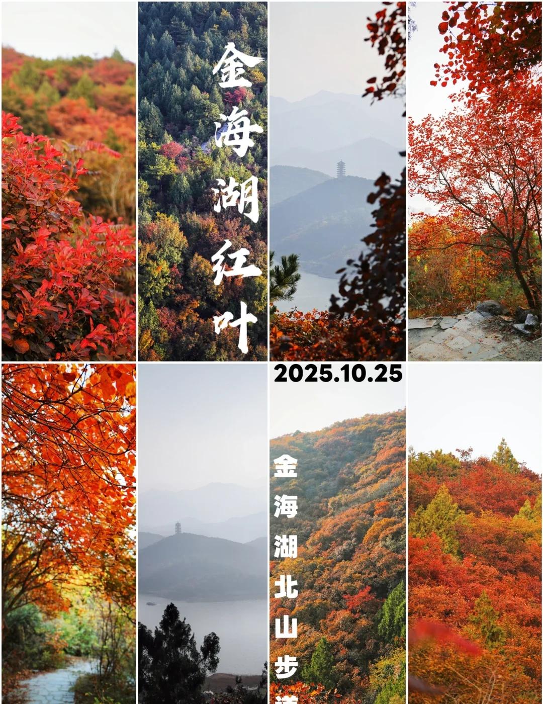 京郊赏秋｜金海湖红叶休闲徒步附路线2025.10.25，秋高气爽，虽然有霾，但