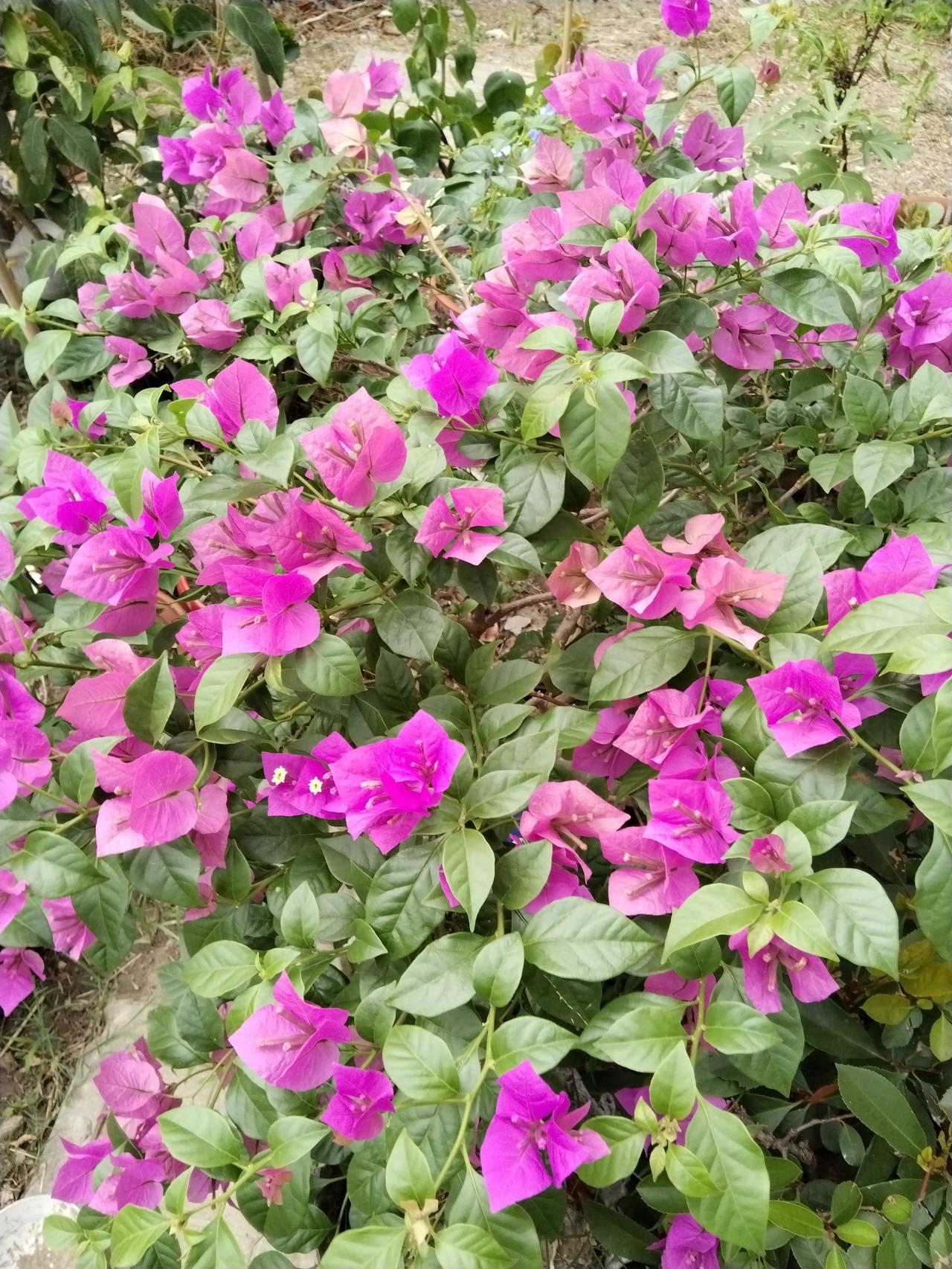 分享一张绝美的风景照片