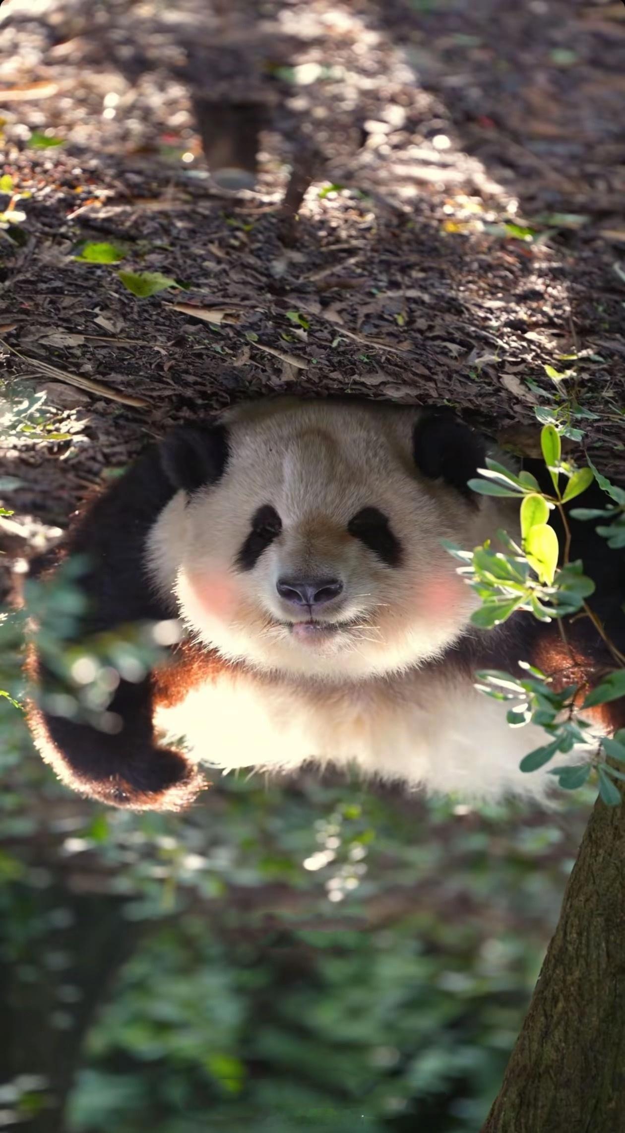 世界美好与你环环相扣！​​​