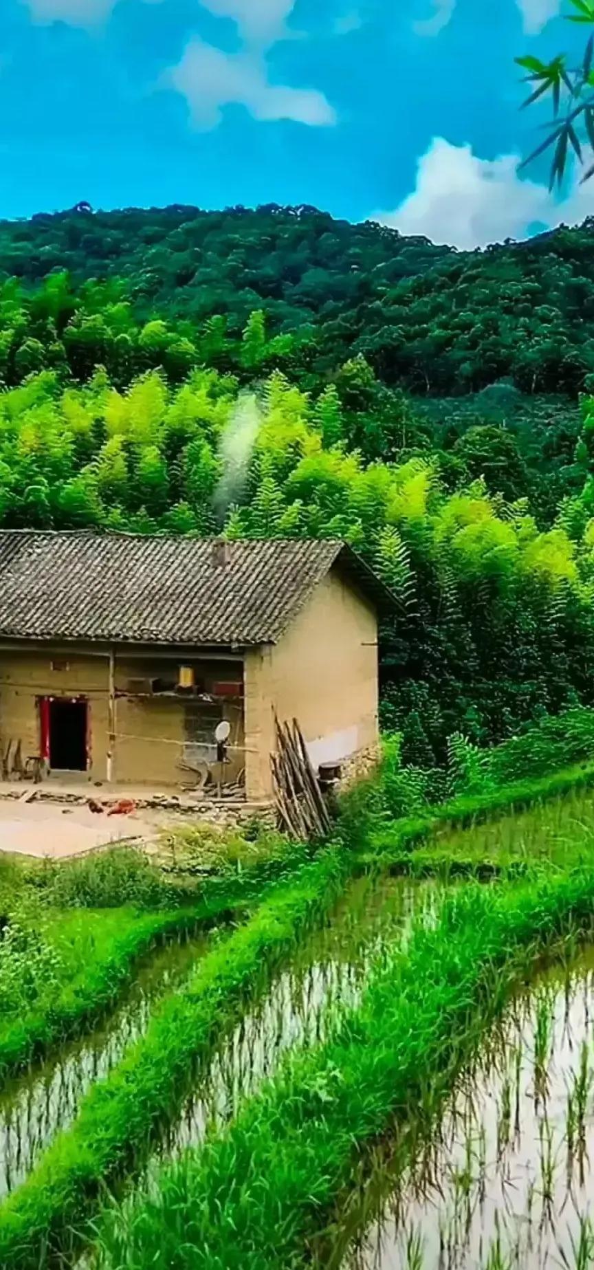 《五律·春色醉人好作诗！》（原创作品，版权保留）文/此生又做推敲人新日阶