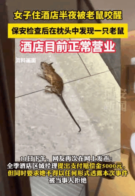 太恶心了！”女子入住全季酒店，结果半夜被胳膊剧痛疼醒，开灯一看已经被咬出血，原来