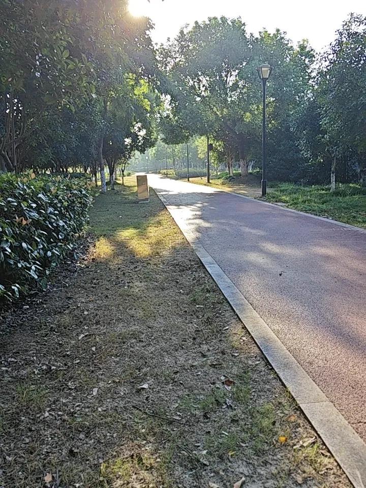 养生不是怕死，是怕老了活受罪。话糙理不糙，养老说到底就三件事，早听懂早踏实。
