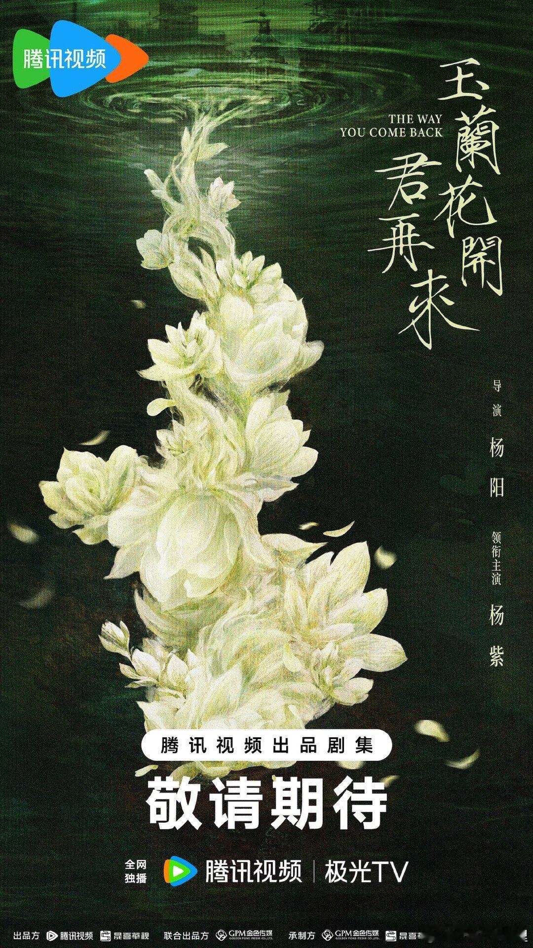 玉兰花开君再来官宣杨紫杨紫加油昨天下午跟粉丝聊天说要单宣杨紫或者不宣未定所以就