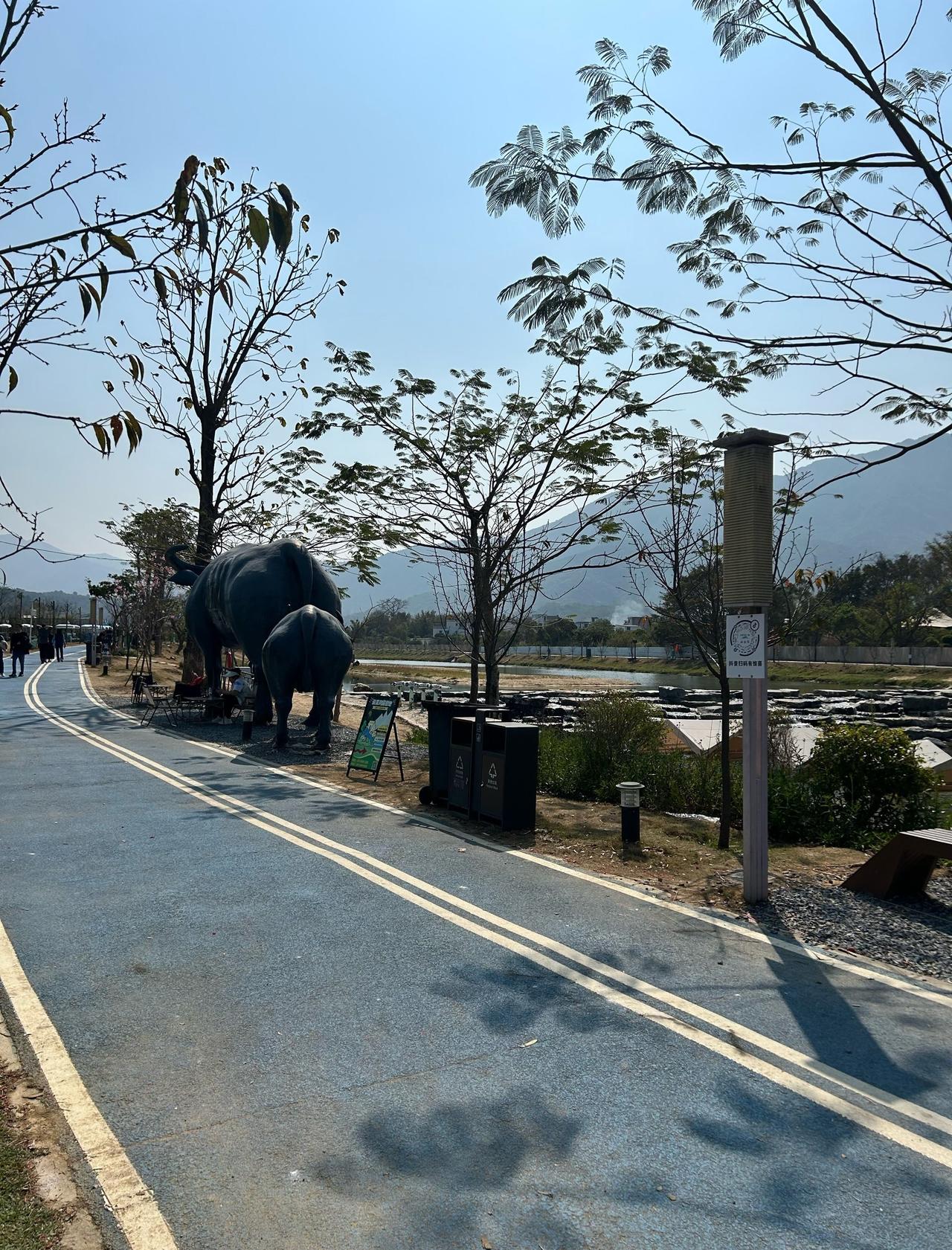 广州这个小镇究竟在搞什么东西啊📍广州生态设计小镇·云溪涧露营地广州这个小