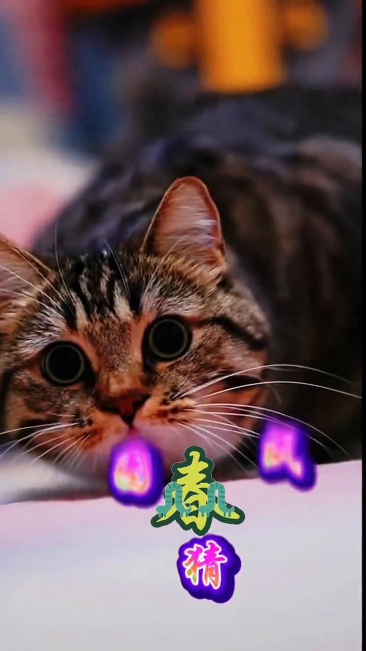 看图猜成语。看图精成语。