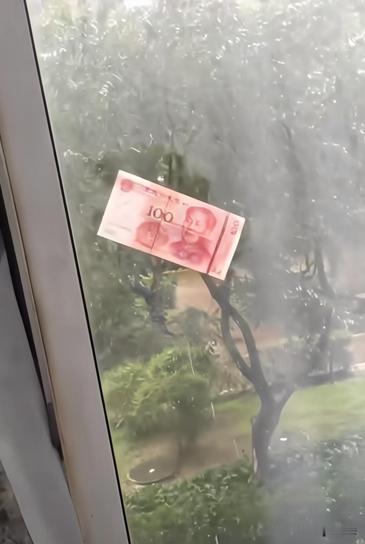 这还真是大风刮来的