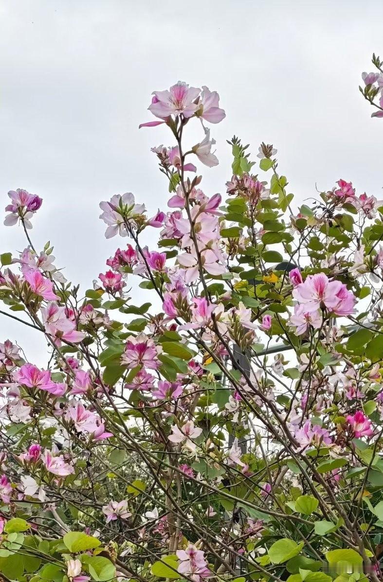 一代进厂，代代进厂，这大概就是普通人最无奈的宿命父母在工厂熬了十几年青春，