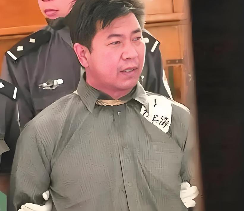 悍匪张书海的人生，非常分裂，非常矛盾。1955年，张书海出生于河南叶县一个极度