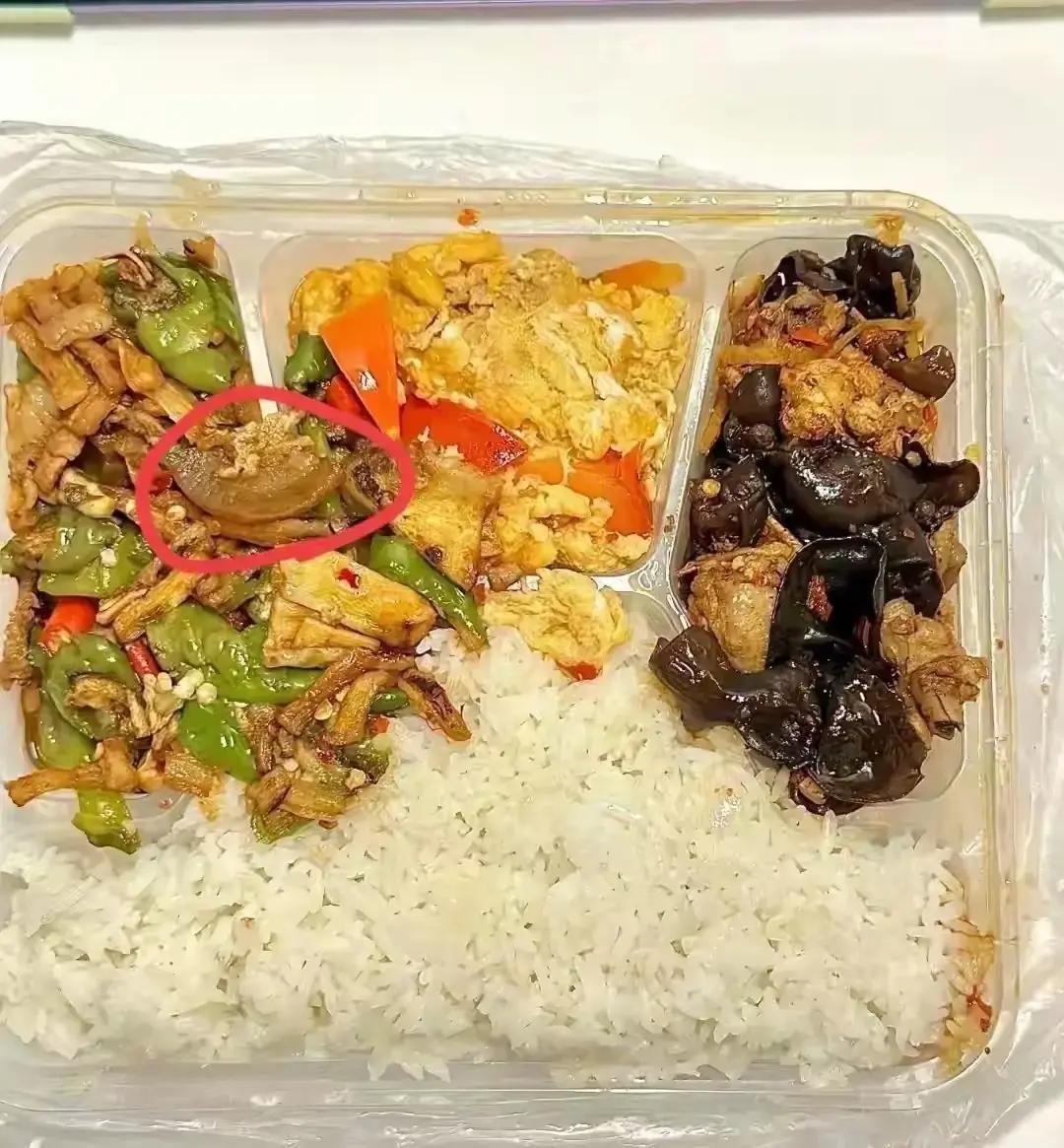 北京中小学食堂要大变样了！就在2026年1月，北京教委直接放话：到2027年底，